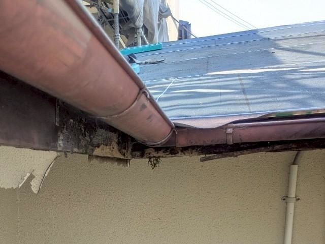 姫路市で古い雨樋の交換を検討